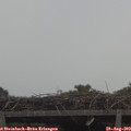 10_40-mast.jpg