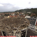 10_40-nest.jpg