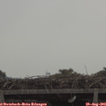 10_45-mast.jpg