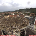 10_45-nest.jpg