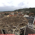 10_50-nest.jpg
