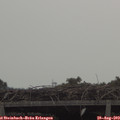 10_55-mast.jpg