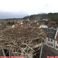 10_55-nest.jpg