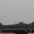 11_00-mast.jpg