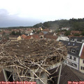 11_00-nest.jpg