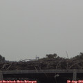 11_05-mast.jpg