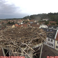 11_05-nest.jpg
