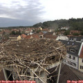 11_10-nest.jpg