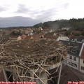 11_15-nest.jpg