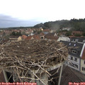 11_20-nest.jpg