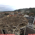 11_25-nest.jpg