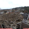 11_40-nest.jpg
