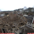 11_45-nest.jpg