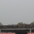 12_00-mast.jpg