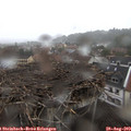 12_00-nest.jpg
