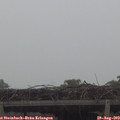 12_10-mast.jpg
