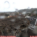 12_10-nest.jpg