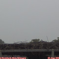 12_15-mast.jpg