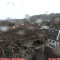 12_15-nest.jpg