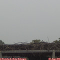 12_20-mast.jpg