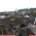 12_20-nest.jpg