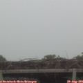 12_30-mast.jpg