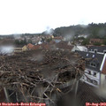 12_30-nest.jpg