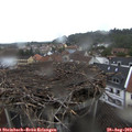 12_35-nest.jpg
