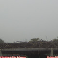 12_40-mast.jpg