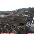 12_40-nest.jpg