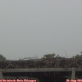 12_45-mast.jpg