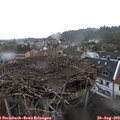 12_45-nest.jpg