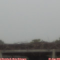 12_55-mast.jpg