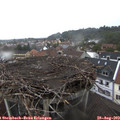 13_05-nest.jpg