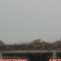 13_10-mast.jpg