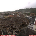 13_10-nest.jpg