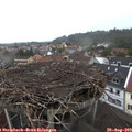 13_15-nest.jpg