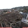 13_25-nest.jpg