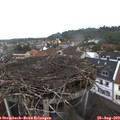 13_30-nest.jpg