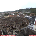13_35-nest.jpg