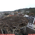 13_40-nest.jpg