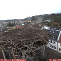13_45-nest.jpg