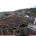 13_50-nest.jpg