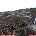 13_55-nest.jpg