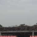 14_00-mast.jpg