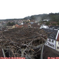 14_00-nest.jpg