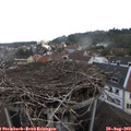 14_05-nest.jpg