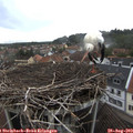 14_35-nest.jpg