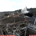 14_40-nest.jpg