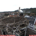 15_05-nest.jpg